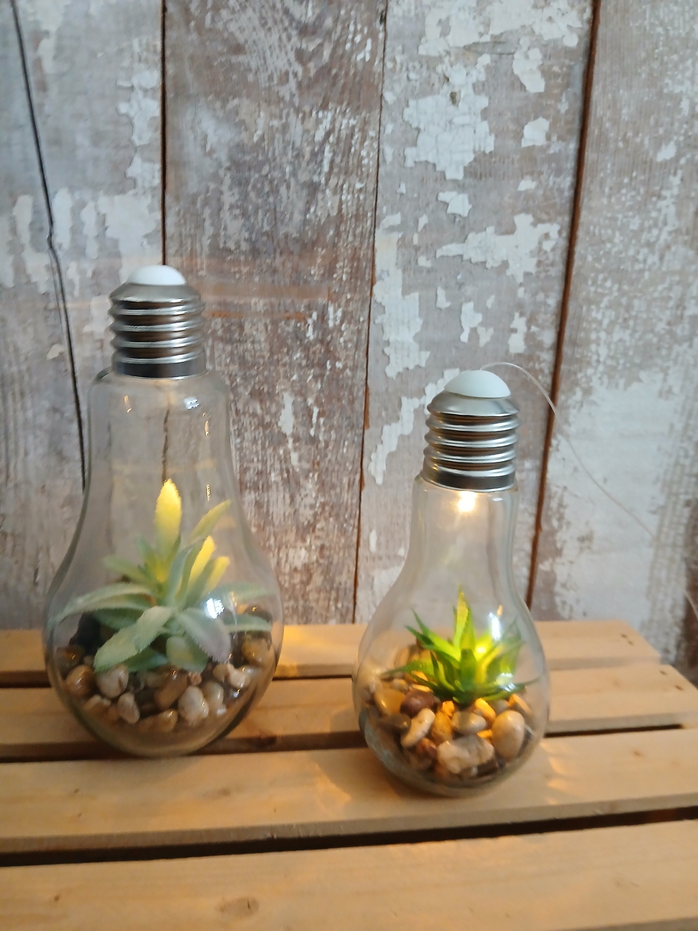 (2/20$)Decorative Light Bulb Terrarium with Green Succulent